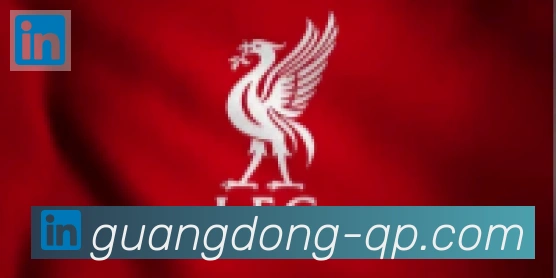 广东体彩合作伙伴